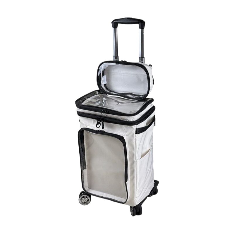 Travel Packing Cube - Bagagem transparente estilo harajuku de desenho